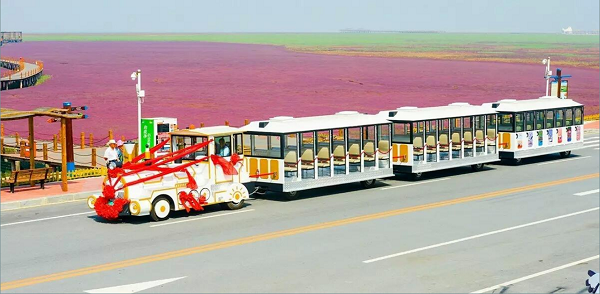 1654069026888224.png 1.png