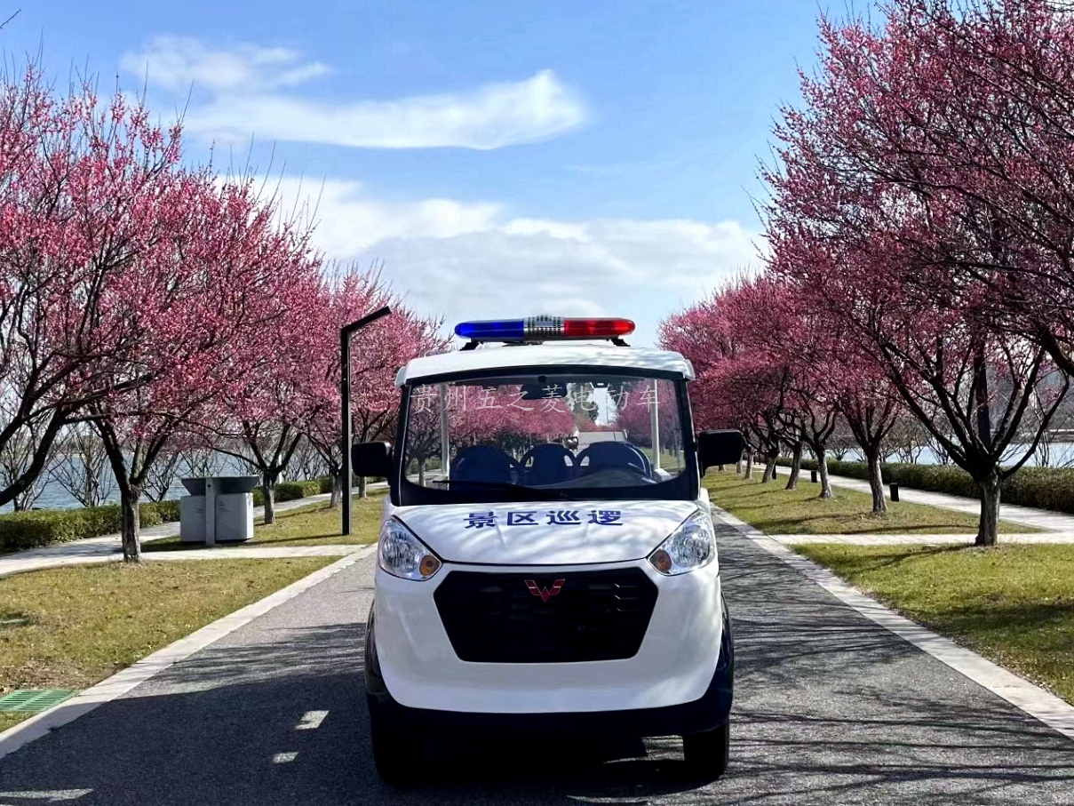 1732861339869600.jpeg 1732861339869600.jpeg