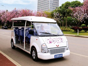 1735177916393959.jpg 威威觀光車 (469).jpg